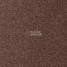 Ковролин Radici Forum Visone 2136 фото 1 | FLOORDEALER
